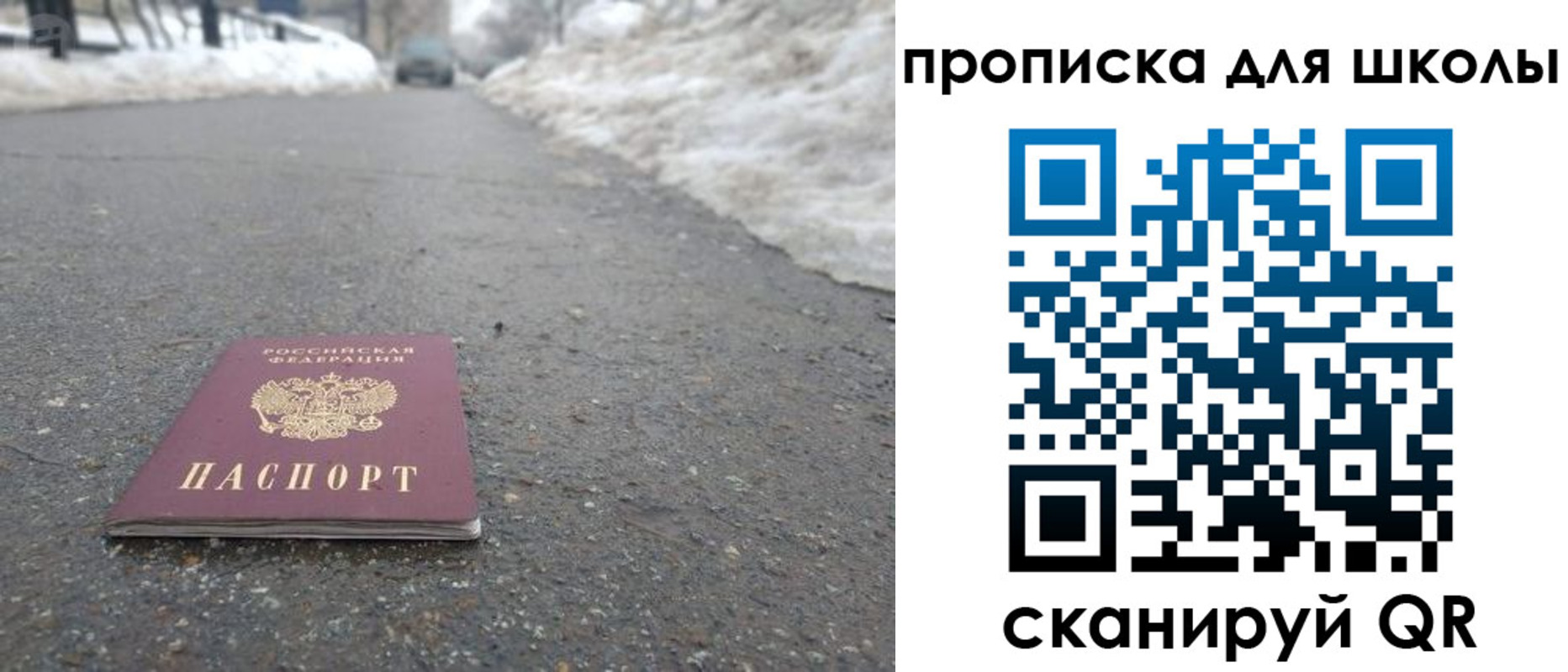 прописка для школы в Кировске